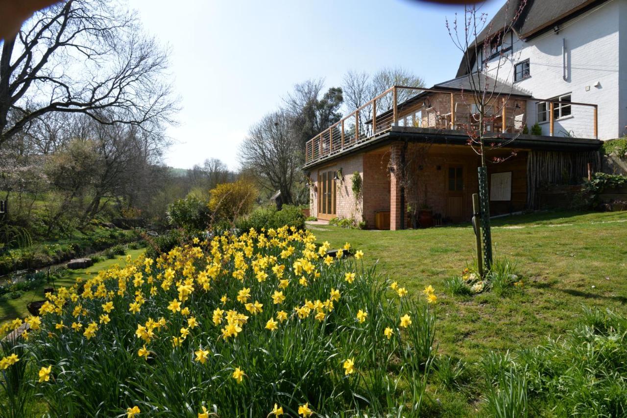 וונטאייג' Thatchcombe B&B מראה חיצוני תמונה